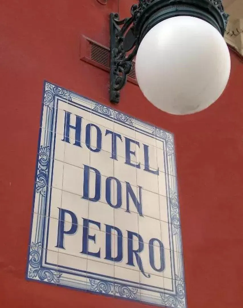 Casa Palacio Don Pedro Seville